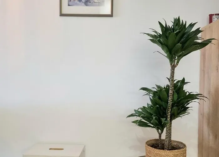 Con Piscina A Un Paso Del Centro *