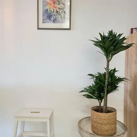 Con Piscina A Un Paso Del Centro *